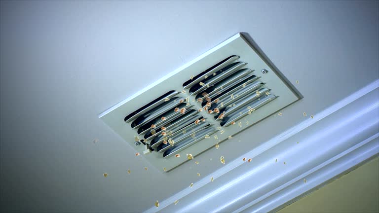 Best Professional Duct Cleaning Services  in Welcome, SC